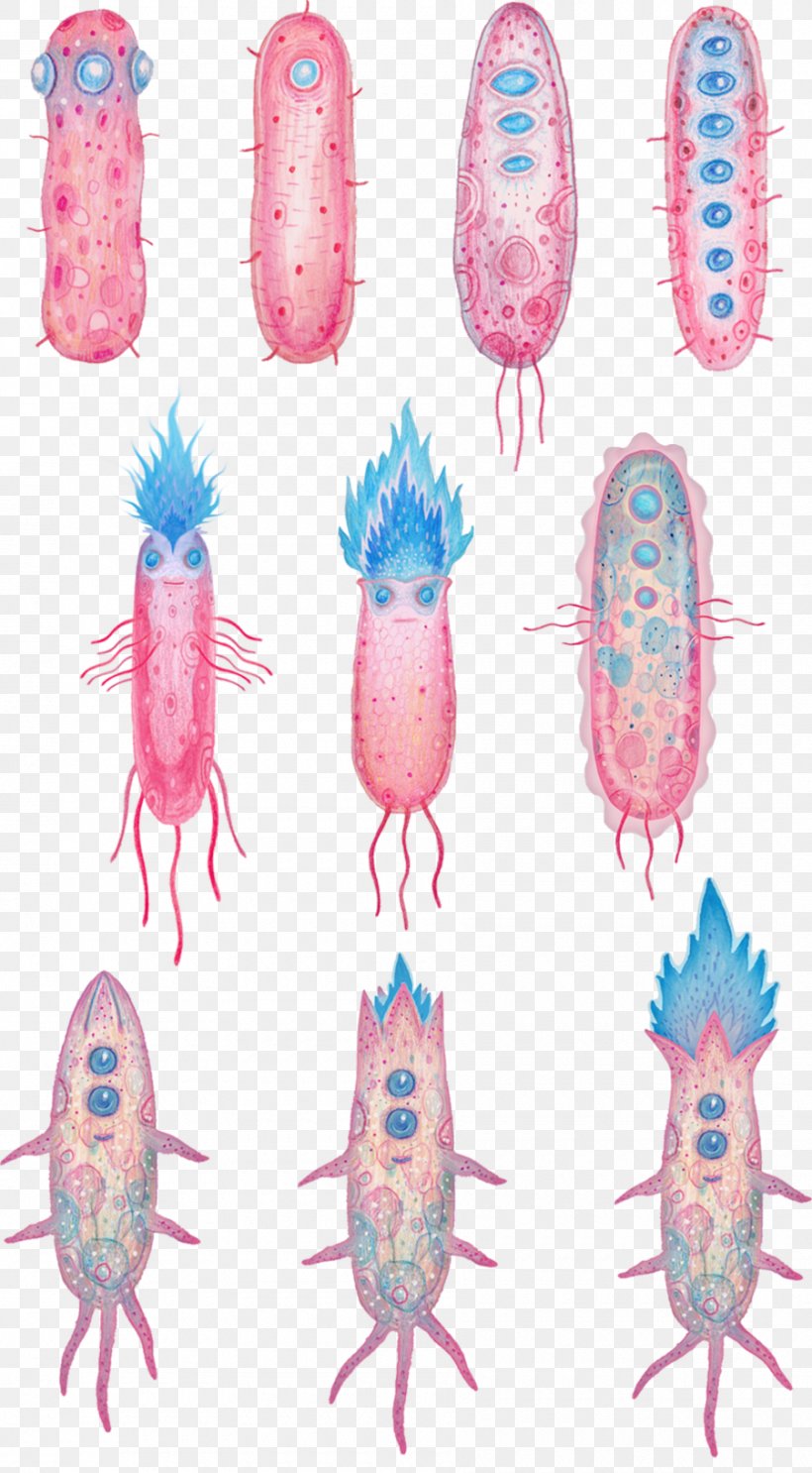 Animation Cartoon Bacteria Clip Art, PNG, 900x1632px, Watercolor, Cartoon, Flower, Frame, Heart Download Free