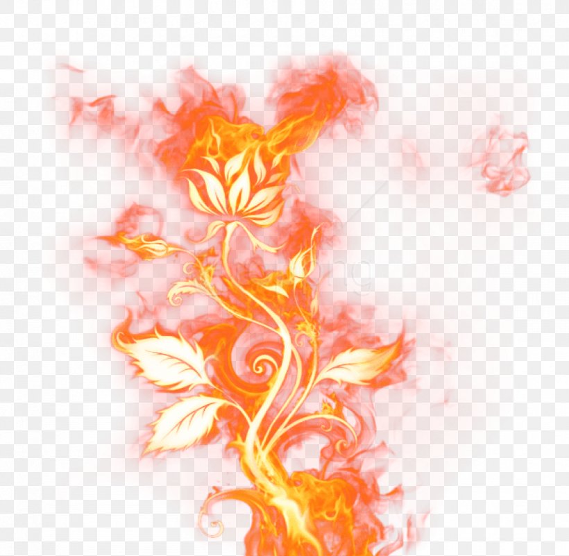 Flame Cartoon, PNG, 850x831px, Fire, Flame, Orange, Peach, Yellow Download Free