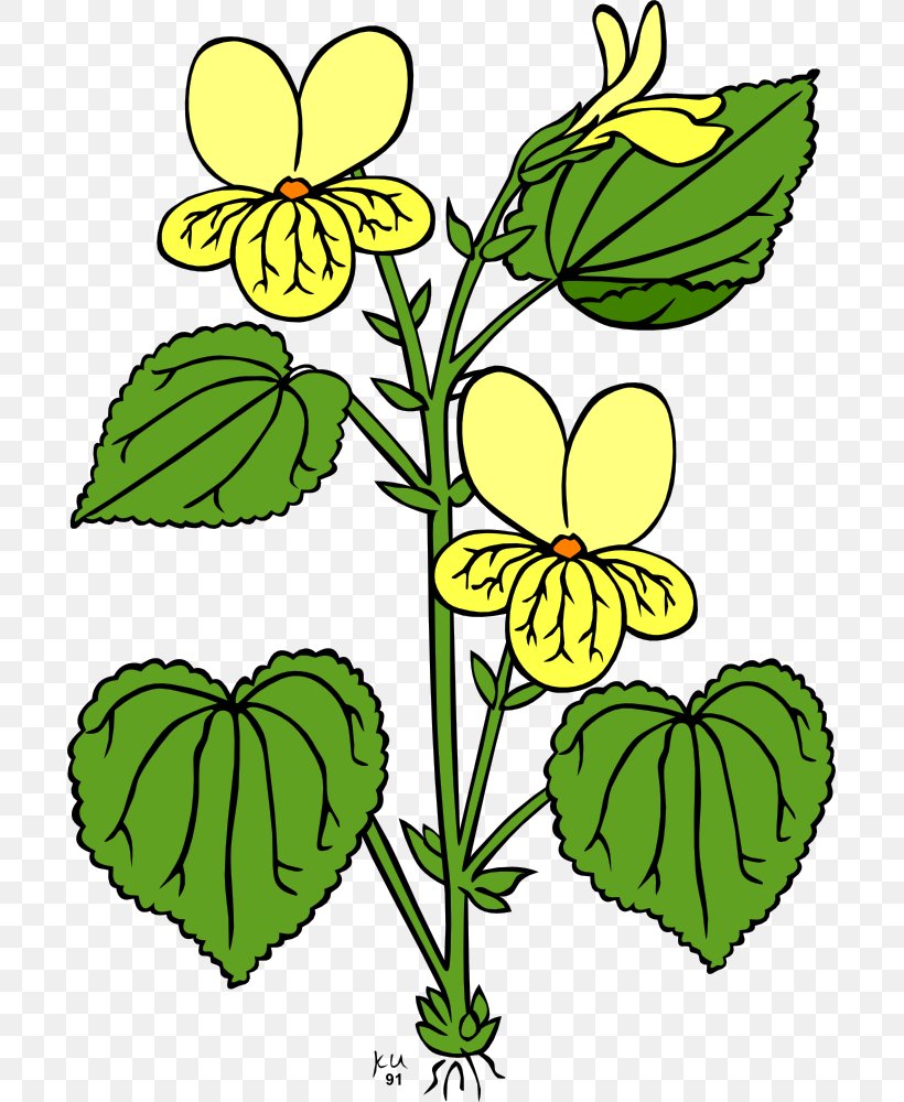 Flowering Plant Flowering Plant Clip Art, PNG, 697x1000px, Flower, Artwork, Botany, Branch, Butterfly Download Free