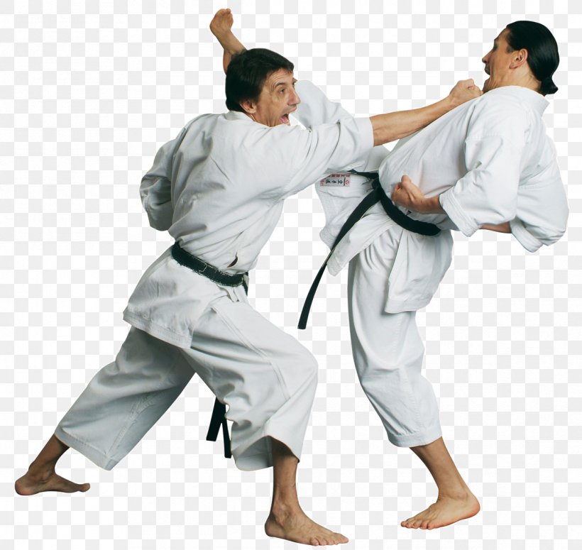 Karate Gi Martial Arts Jujutsu Kata, PNG, 1192x1127px, Karate, Arm, Bunkai, Dobok, Hapkido Download Free