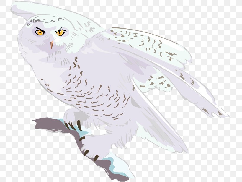 Owl Bird Of Prey Animal Wildlife, PNG, 750x616px, Owl, Animal, Beak, Bird, Bird Of Prey Download Free