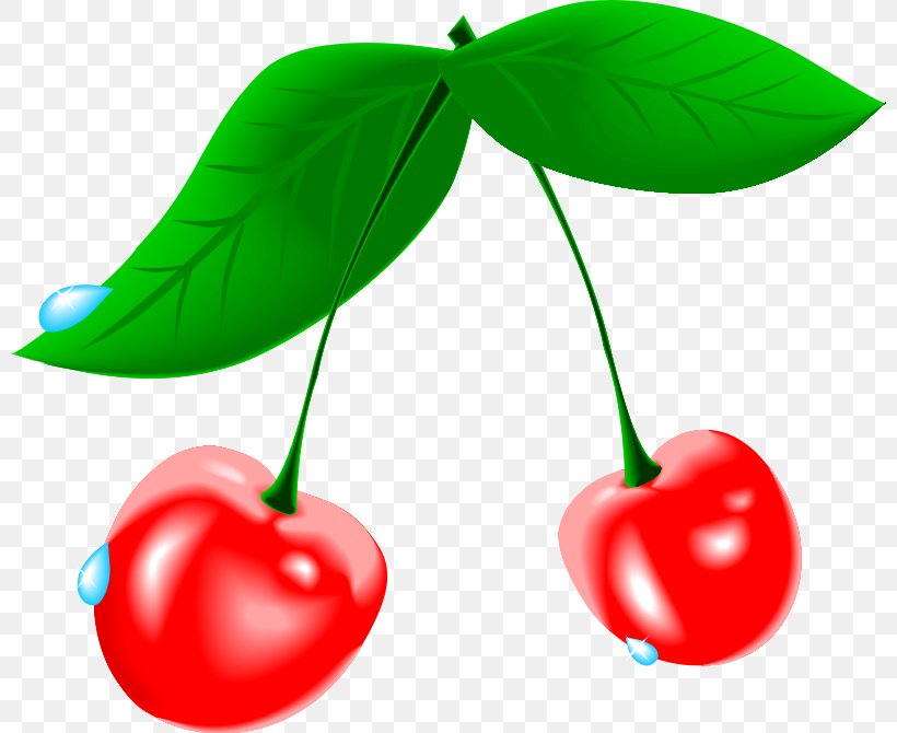 Cherry Pie Clip Art, PNG, 800x670px, Cherry Pie, Blossom, Cherry, Cherry Blossom, Food Download Free