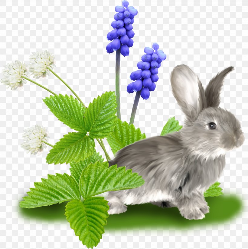 Domestic Rabbit Hare Clip Art, PNG, 2483x2492px, Rabbit, Domestic Rabbit, Flower, Fundal, Grass Download Free