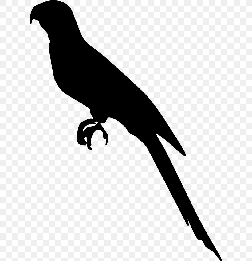 Beak Fauna Silhouette Clip Art, PNG, 625x850px, Beak, Bird, Black And White, Fauna, Silhouette Download Free