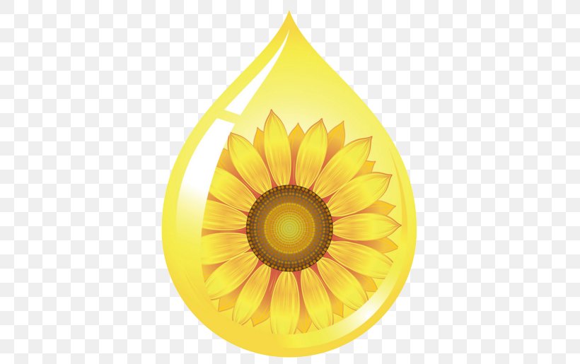 Common Sunflower Sunflower Oil Sunflower Seed, PNG, 542x515px, Common Sunflower, Daisy Family, Flower, Flowering Plant, Iris Download Free