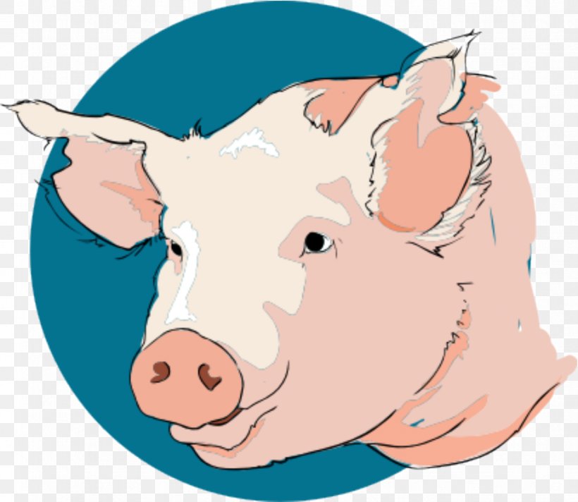 Domestic Pig Grishuvud Clip Art, PNG, 921x800px, Domestic Pig, Animal, Artwork, Cattle Like Mammal, Document Download Free