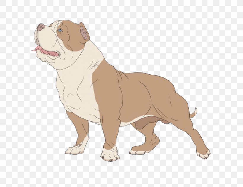 Dorset Olde Tyme Bulldogge Olde English Bulldogge Toy Bulldog Dog Breed, PNG, 1019x784px, Dorset Olde Tyme Bulldogge, Breed, Bulldog, Bulldog Breeds, Carnivoran Download Free