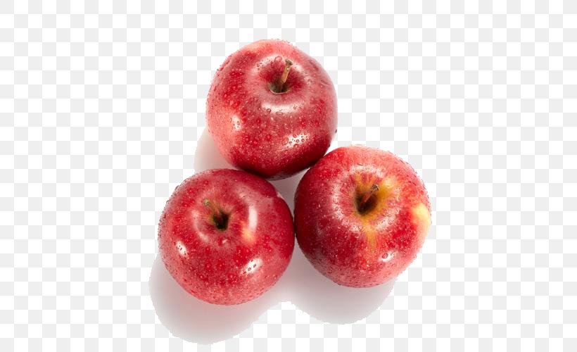 Photography Apple PIXTA Inc. Royalty-free Illustration, PNG, 500x500px, Photography, Accessory Fruit, Apple, Diet Food, Food Download Free