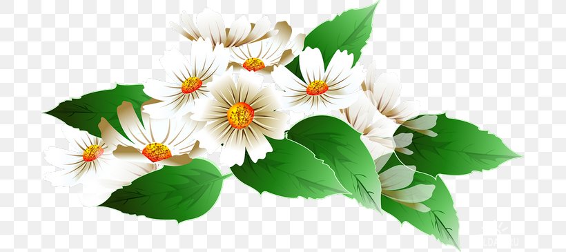 Clip Art Cosmos LiveInternet Information, PNG, 700x365px, Cosmos, Annual Plant, Blog, Daisy, Daisy Family Download Free