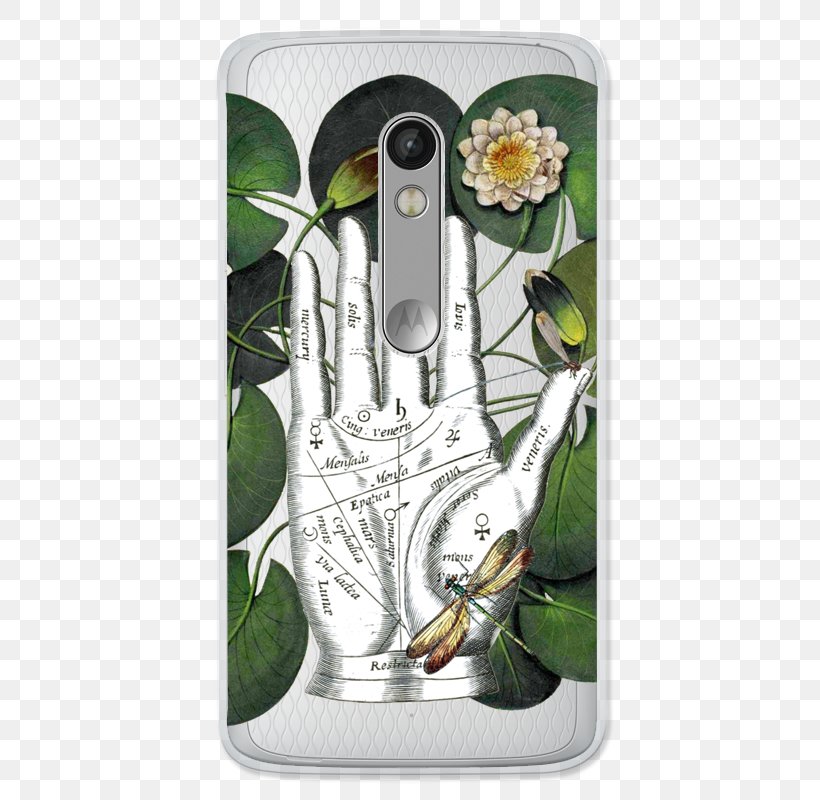 Water Lily’s KEK Amsterdam Wonder Walls Mobile Phone Accessories Palmistry, PNG, 800x800px, Water Lilys, Amsterdam, Art, Diagram, Graphic Arts Download Free