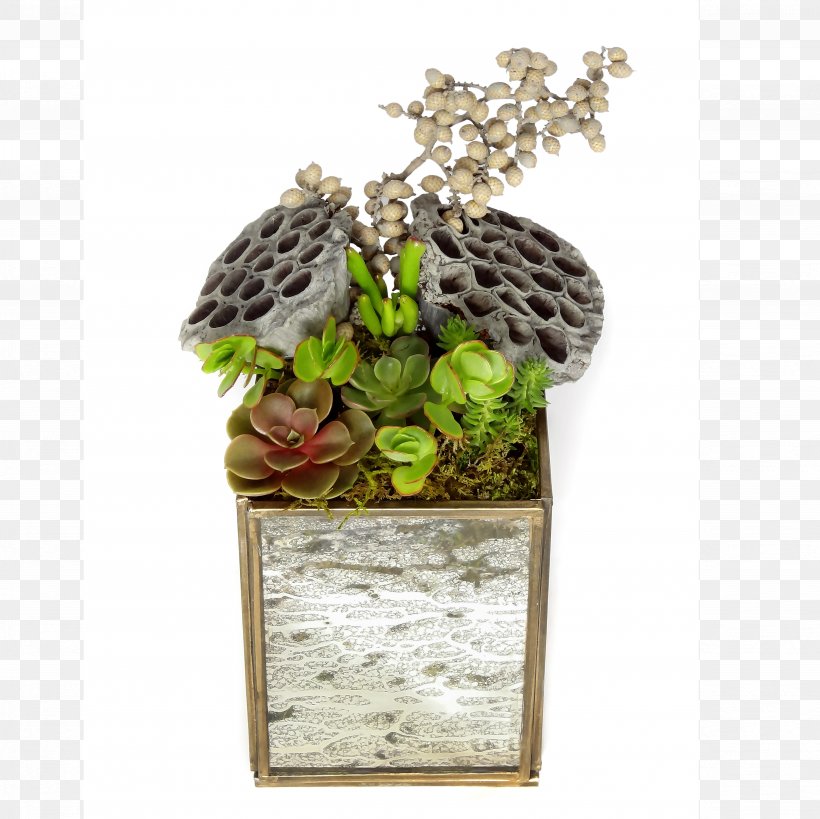 Luludi Living Art Houseplant Succulent Plant Lantern Glass, PNG, 4896x4896px, Luludi Living Art, Ahalife, Building, Flowerpot, Fluorescent Lamp Download Free