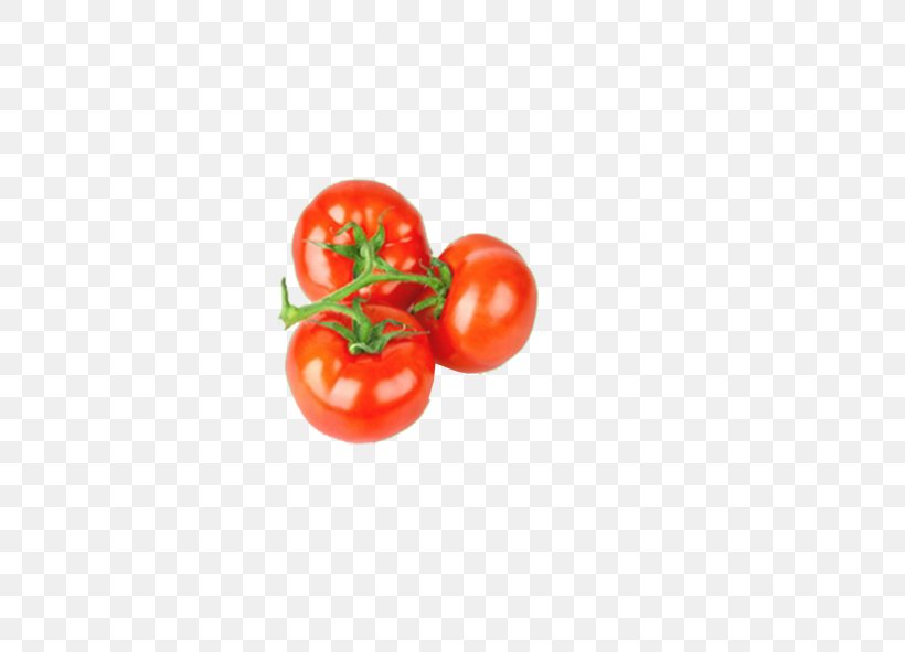 Vegetable Fruit Tomato Organic Food, PNG, 591x591px, Vegetable, Condiment, Food, Fruit, Fruit Exotique Download Free