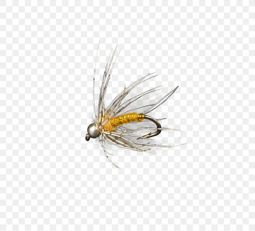 Artificial Fly Holly Flies Discounts And Allowances Insect, PNG, 555x741px, Artificial Fly, Arthropod, Discounts And Allowances, Facebook Inc, Fly Download Free
