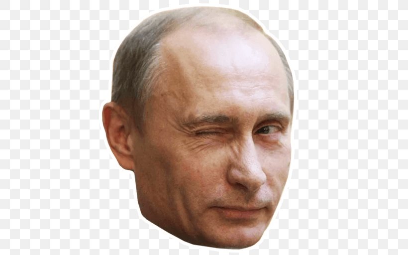 Vladimir Putin Accession Of Crimea To The Russian Federation United States Putin's Russia, PNG, 512x512px, Vladimir Putin, Cheek, Chin, Close Up, Ear Download Free