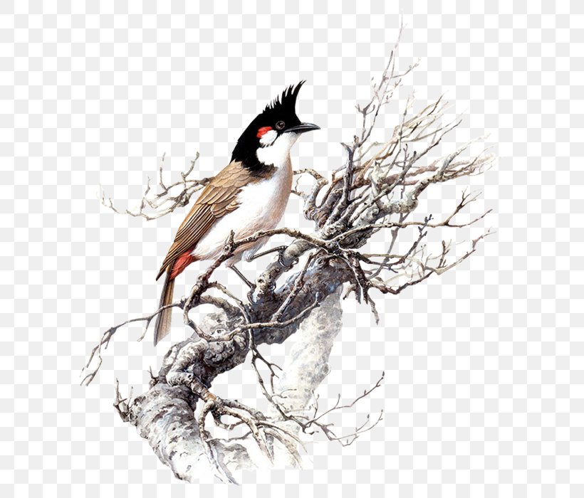Winter Birds, PNG, 700x700px, Watercolor, Cartoon, Flower, Frame, Heart Download Free