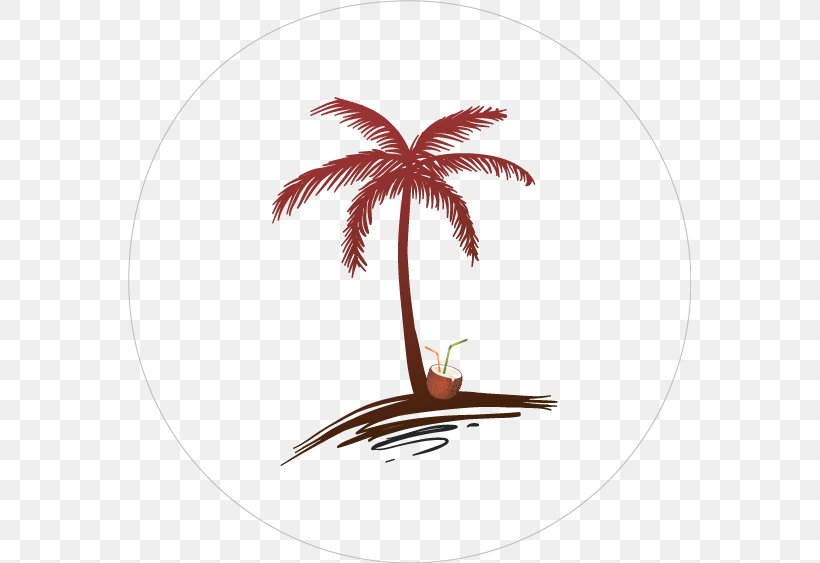 Arecaceae Coconut Drawing Tree, PNG, 563x563px, Arecaceae, Arecales, Coconut, Drawing, Flowering Plant Download Free