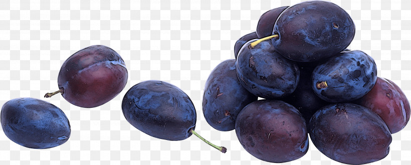Juniper Berry Plant Bilberry Superfood Damson, PNG, 3000x1207px, Juniper Berry, Bilberry, Biology, Damson, Grape Download Free