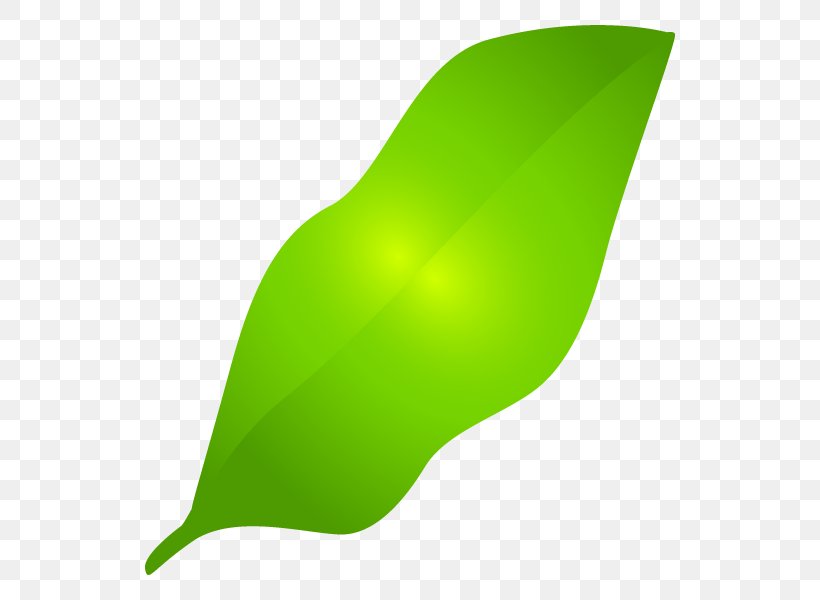 Leaf Product Design Graphics, PNG, 600x600px, Leaf, Grass, Green, Plant Download Free