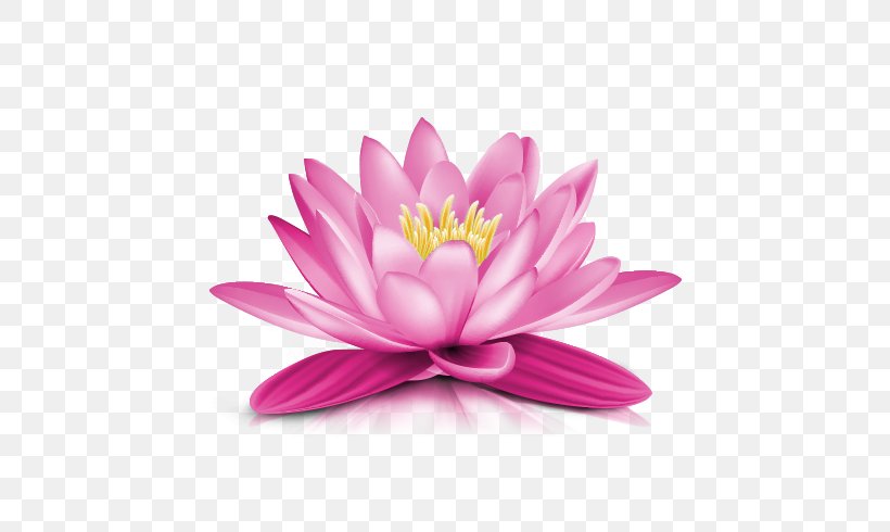 Water Lily Clip Art, PNG, 608x490px, Water Lily, Aquatic Plant, Can Stock Photo, Dahlia, Drawing Download Free
