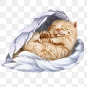 Kitten - Whiskers Persian Cat Kitten Black Cat Clip Art PNG