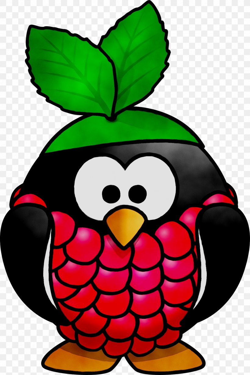 Clip Art Beak Fruit Raspberry Pi, PNG, 1810x2711px, Beak, Bird, Cartoon, Flightless Bird, Fruit Download Free