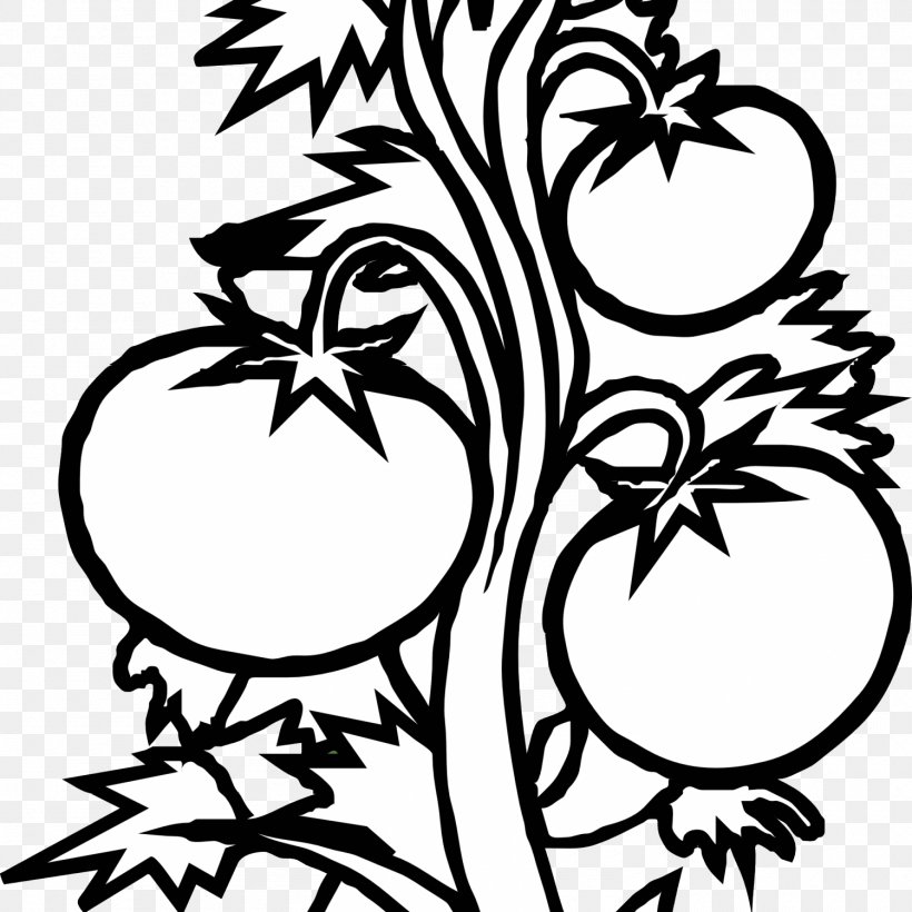 Coloring Book Plant Cell Tomato Fruit, PNG, 1500x1500px, Coloring Book, Artwork, Black And White, Branch, Carnivorous Plant Download Free