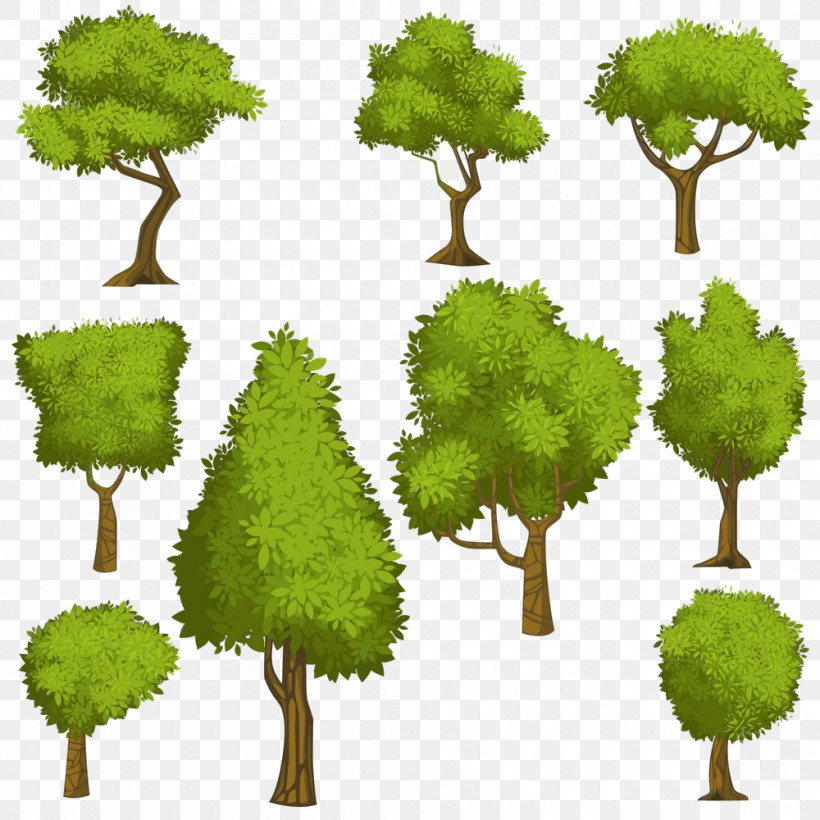 Arbor Day, PNG, 1000x1000px, Tree, Arbor Day, Grass, Green, Leaf Download Free