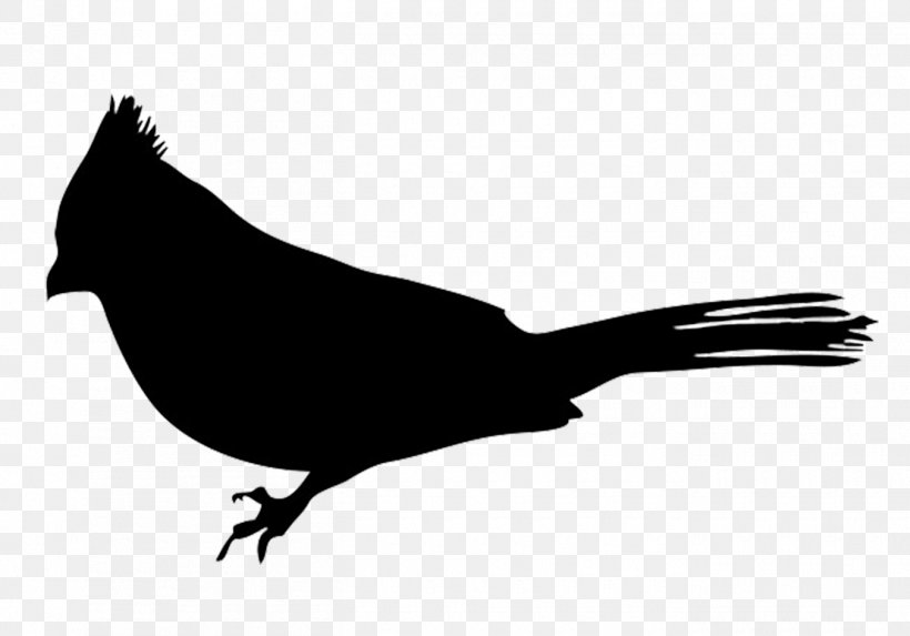 Bird European Robin Silhouette Clip Art, PNG, 1350x944px, Bird, American Robin, Art, Beak, Bird Flight Download Free