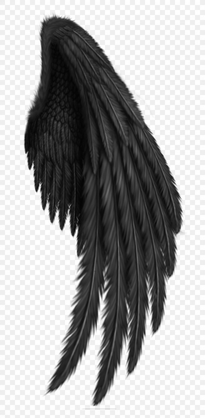 Черные ангельские Крылья