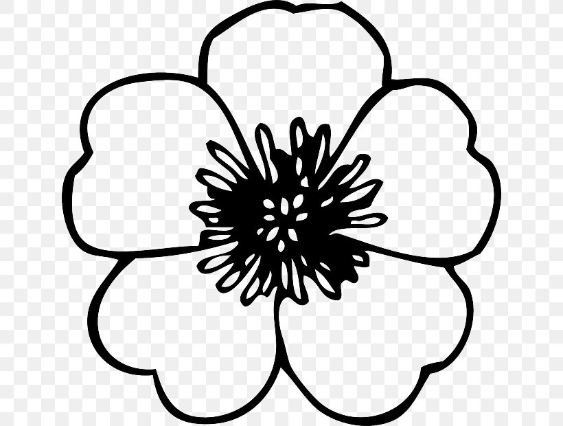 Coloring Book Flower Child Adult, PNG, 640x620px, Coloring Book, Adult, Artwork, Black, Black And White Download Free