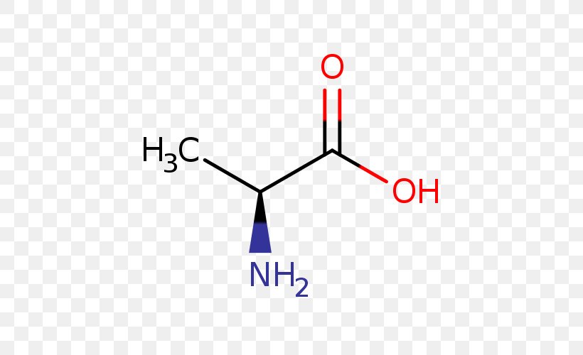 Lactic Acid Alanine Butyric Acid Amino Acid, PNG, 500x500px, Lactic Acid, Acid, Acrylic Acid, Alanine, Amino Acid Download Free