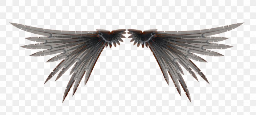 Wings 3D 3D Computer Graphics 3D Rendering, PNG, 1024x462px, 3d Computer Graphics, 3d Rendering, Wings 3d, Art, Beak Download Free