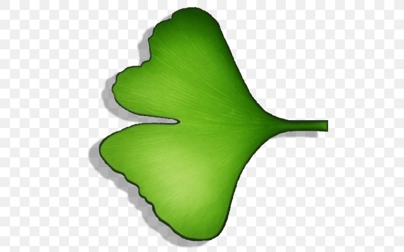 Leaf Plant Stem, PNG, 512x512px, Leaf, Audiobook, Ginkgo Biloba, Grass, Green Download Free