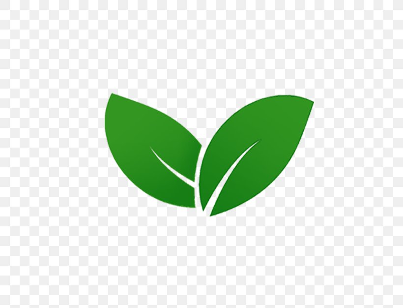Logo Brand Leaf Font, PNG, 626x626px, Logo, Brand, Grass, Green, Leaf Download Free