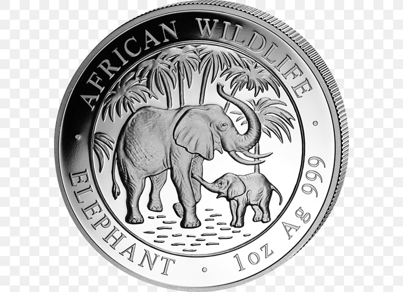 Silver Coin African Elephant Indian Elephant Somalia, PNG, 600x593px, Coin, African Elephant, Black And White, Bullion, Bullion Coin Download Free