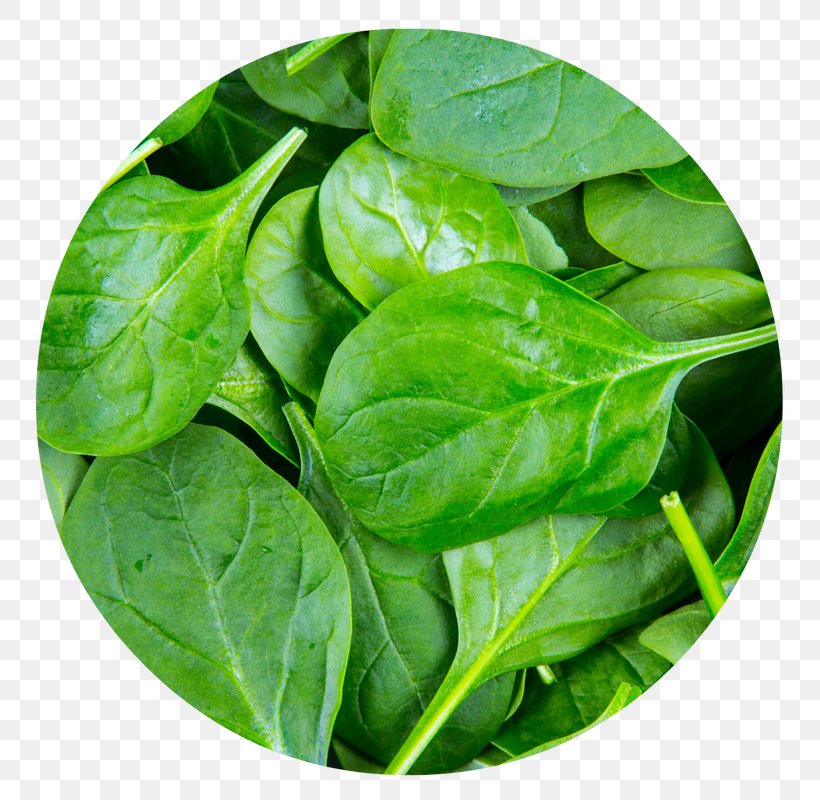 Spinach Pakora Leaf Vegetable Palak Paneer, PNG, 800x800px, Spinach, Basil, Bay Leaf, Brassica Juncea, Chard Download Free