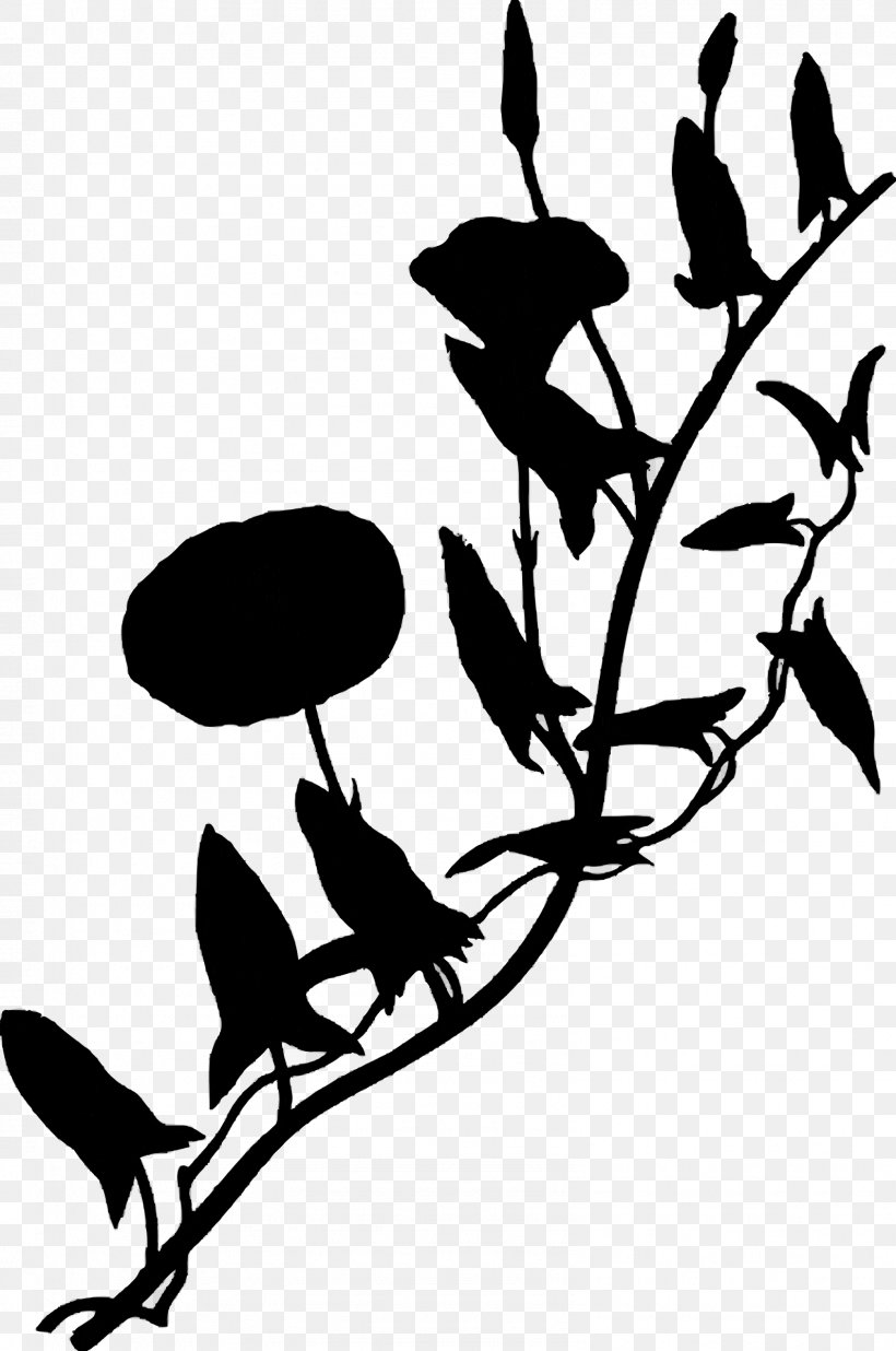 Twig Clip Art Flower Plant Stem Leaf, PNG, 1592x2400px, Twig, Blackandwhite, Botany, Branch, Flower Download Free