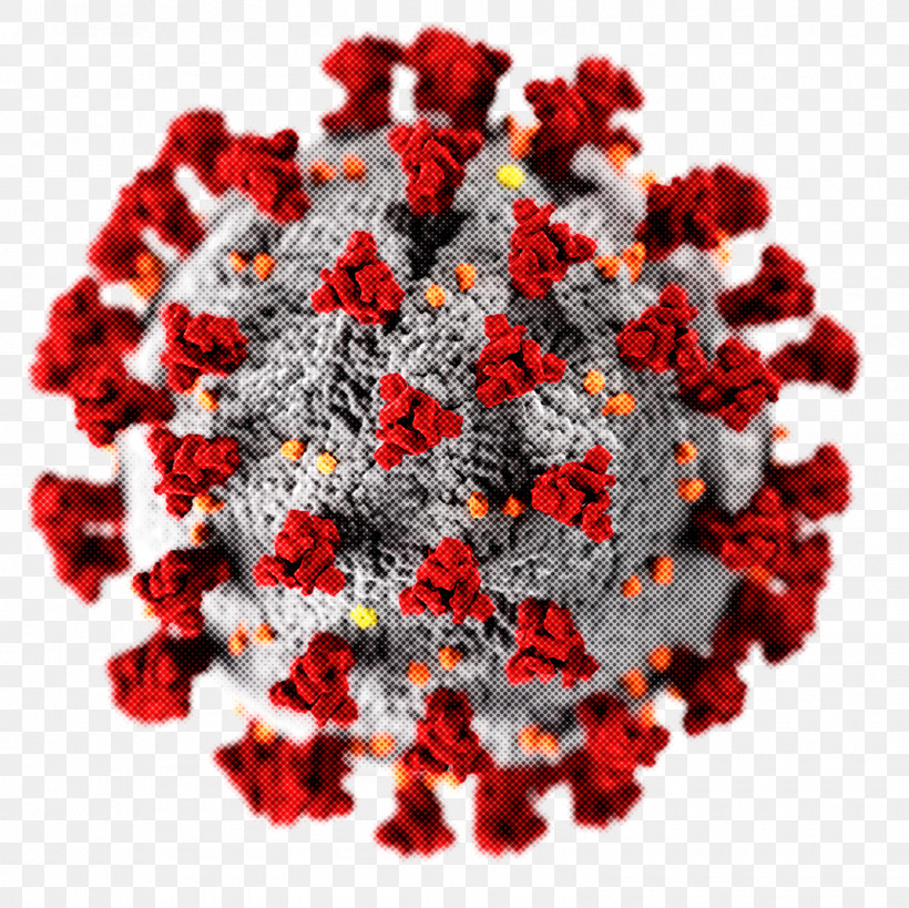 2019–20 Coronavirus Pandemic Covid-19 Testing Coronavirus Coronavirus Disease 2019 West Virginia, PNG, 1600x1600px, Covid19 Testing, Centers For Disease Control And Prevention, Coronavirus, Coronavirus Disease 2019, Fever Download Free