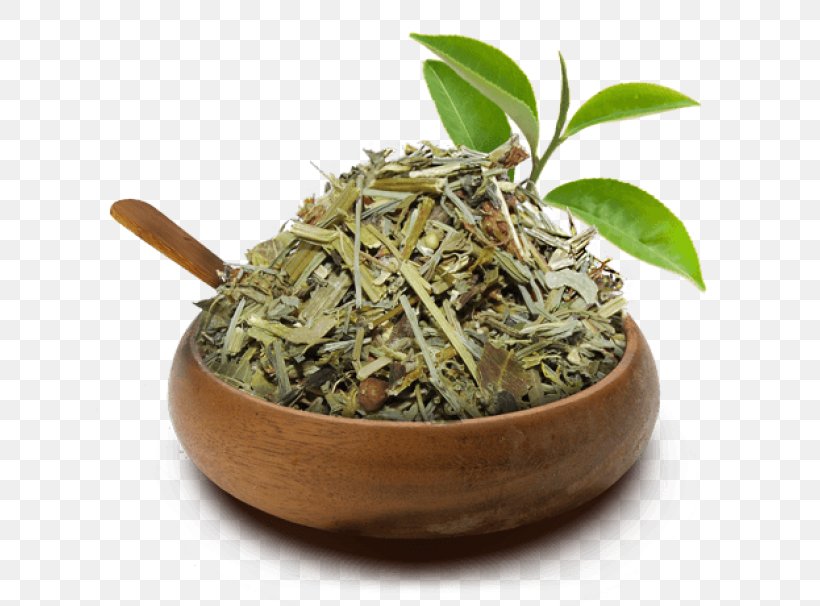 Hibiscus Tea Hōjicha Green Tea Equisetum, PNG, 700x606px, Tea, Bai Mudan, Bancha, Biluochun, Dianhong Download Free