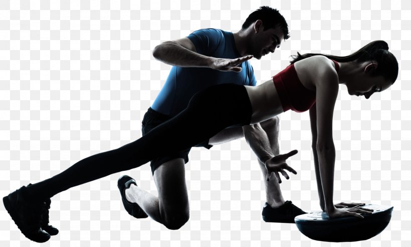 Personal Trainer Physical Fitness Training Exercise Fitness Professional, PNG, 1536x924px, Personal Trainer, Arm, Endurance, Exercise, Exercise Equipment Download Free