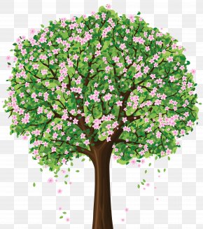 Spring Tree Blossom Clip Art, PNG, 5157x5974px, Tree, Autumn, Blossom ...