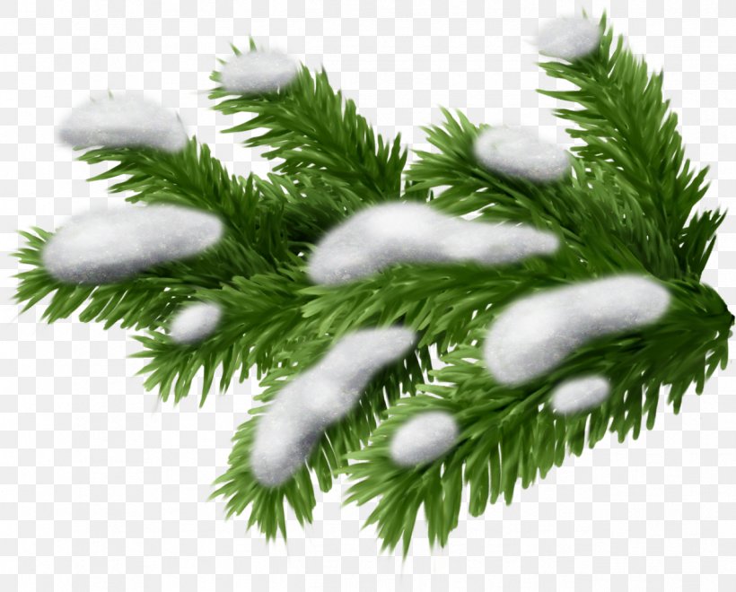 Spruce Conifers Pine Branch, PNG, 1272x1024px, Spruce, Branch, Cedar, Christmas Decoration, Christmas Ornament Download Free