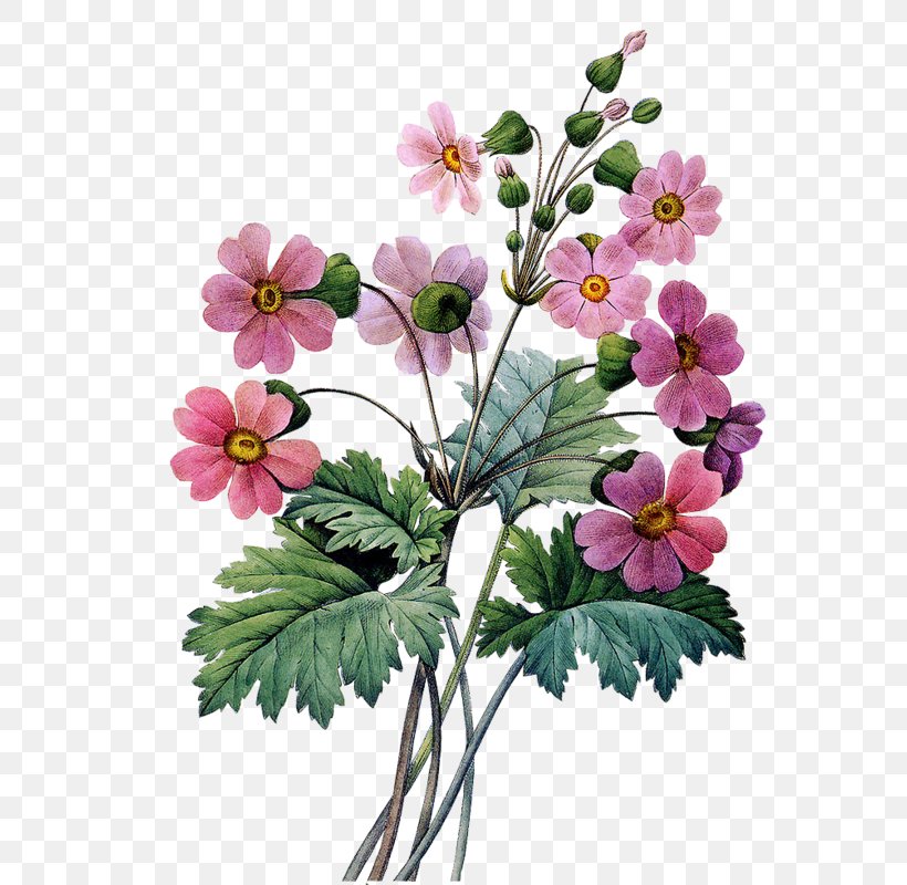 Abziehtattoo Flower Bouquet Floral Design, PNG, 576x800px, Tattoo, Abziehtattoo, Anemone, Annual Plant, Cut Flowers Download Free