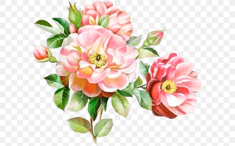 Floral Design Watercolour Flowers Desktop Wallpaper Cabbage Rose, PNG, 591x511px, Floral Design, Artificial Flower, Cabbage Rose, Canvas, Cut Flowers Download Free