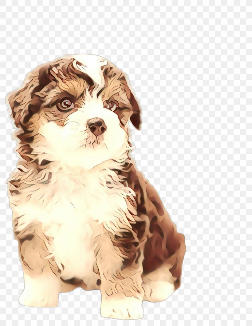 My Love, PNG, 1760x2276px, Cartoon, Breed, Cavachon, Chinese Imperial Dog, Companion Dog Download Free