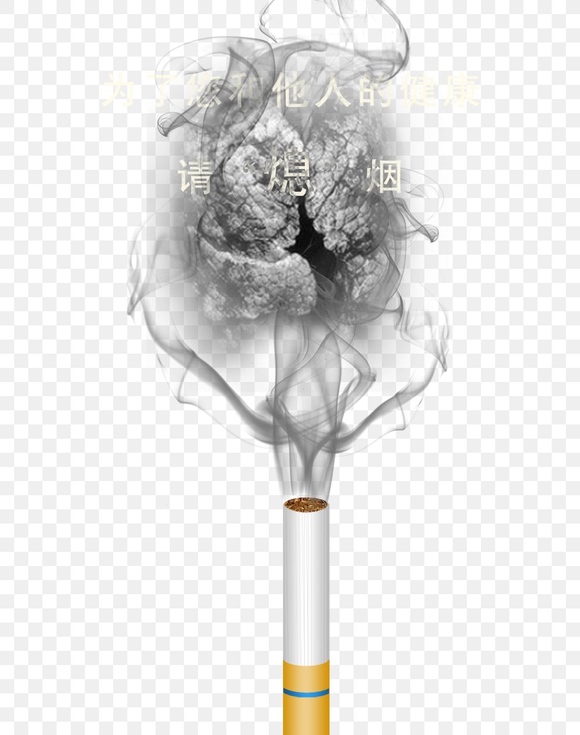 Smoking Ban Lung Smoking Cessation, PNG, 624x1039px, Watercolor, Cartoon, Flower, Frame, Heart Download Free