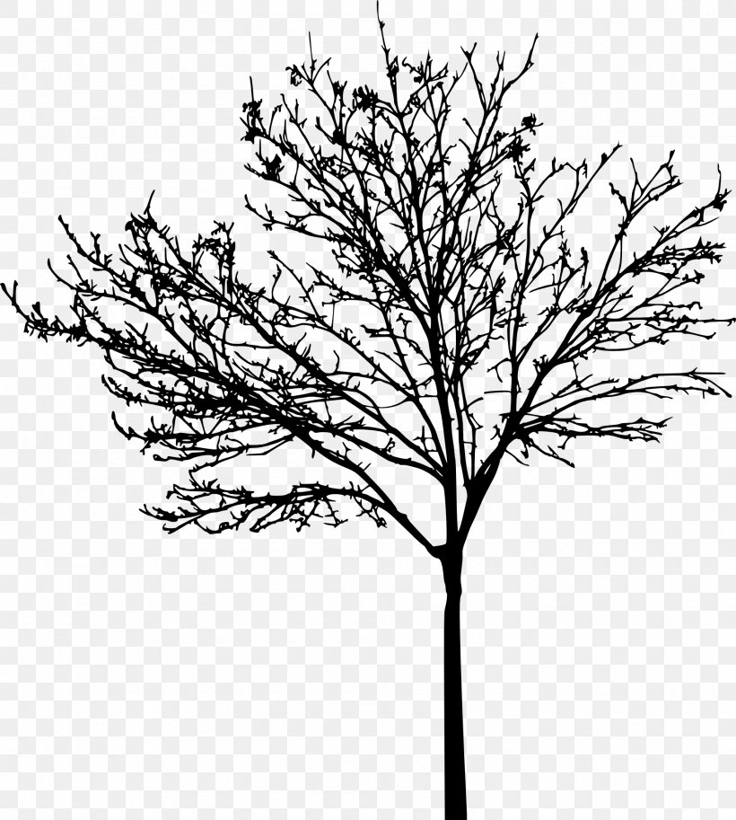 Tree Clip Art, PNG, 1795x2000px, Tree, Black And White, Branch, Coloring Book, Flower Download Free