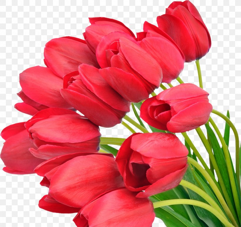 Tulip Flower Bouquet Clip Art, PNG, 1280x1209px, Tulip, Annual Plant, Cut Flowers, Digital Image, Flower Download Free