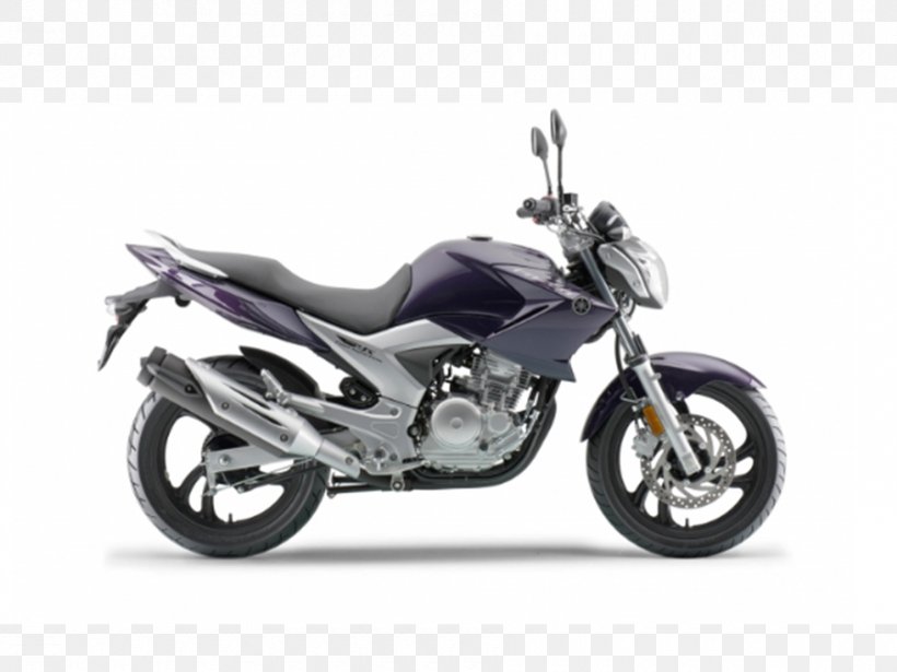 Yamaha Motor Company Fuel Injection YS 250 Fazer Motorcycle Yamaha FZX750, PNG, 900x675px, Yamaha Motor Company, Argentina, Automotive Design, Brake, Car Download Free