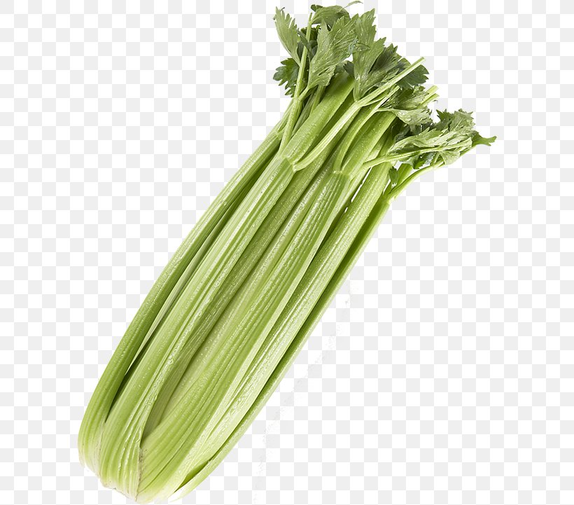 Celery Leaf Vegetable Vegetarian Cuisine, PNG, 600x721px, Celery, Chard, Choy Sum, Collard Greens, Food Download Free